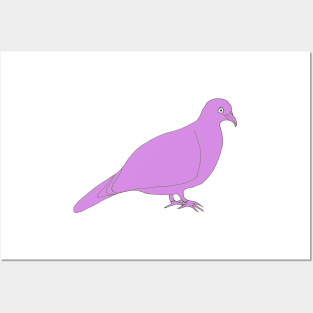 Line Pigeon Purple Posters and Art